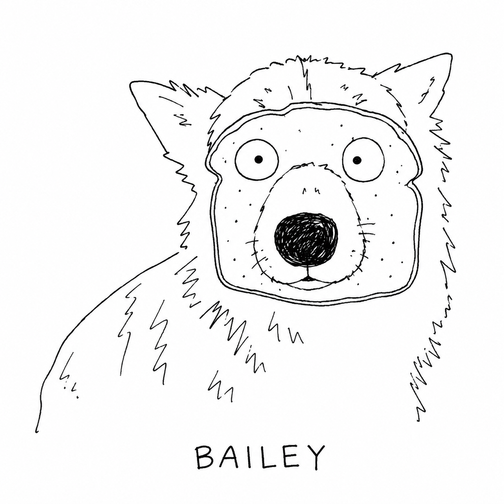 your pet, drawn terribly 🤍 funny gag gifts
